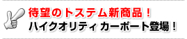 �Җ]�̃g�X�e���V���i�I�n�C�N�I���e�B�@�J�[�|�[�g�o��!