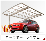 �g�X�e�� �J�[�u�|�[�g�V�O�}III