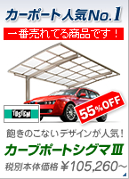 �J�[�|�[�g�l�CNo.1�@�O���̂��Ȃ��f�U�C�����l�C�I�@�g�X�e���@�J�[�u�|�[�g�V�O�} III�@55%OFF�@105,260�~�`