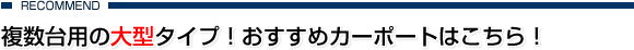 ������p��^�^�C�v�I�������߃J�[�|�[�g�͂�����I