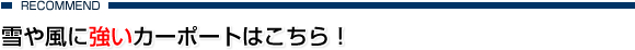 ��╗�ɋ����J�[�|�[�g�͂�����I