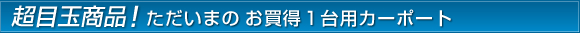 超目玉商品!ただいまのお買得1台用カーポート