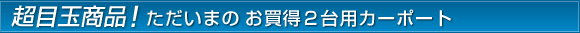 超目玉商品!ただいまのお買得2台用カーポート