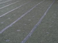 �h���V�[�g