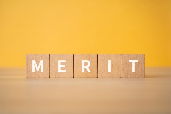 積み木にメリットと表記されている