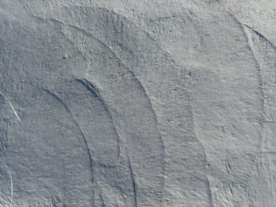 金ゴテ仕上げのコンクリート面