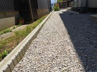 ���ύ���