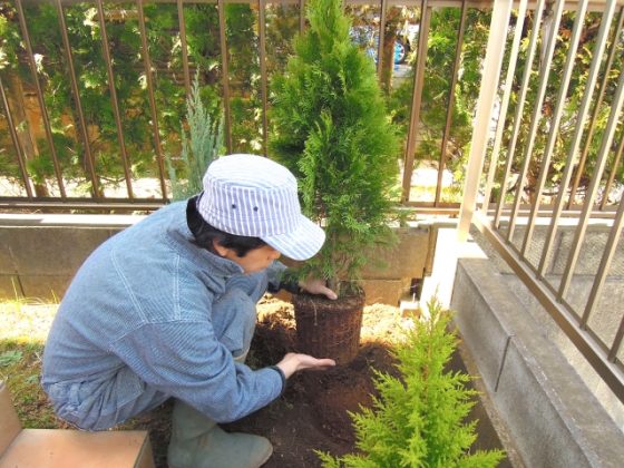 外構植栽