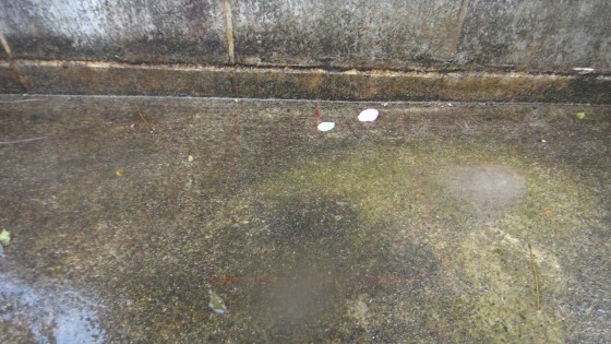 屋根の大きさを確認し、カーポートの柱設置箇所を決めます