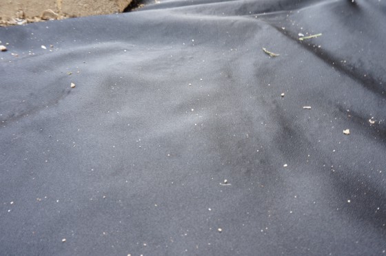 露出用の防草シート、表面には何も載せずそのままです。