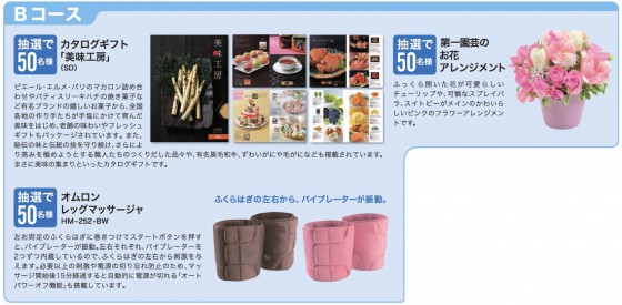 リビングキャンペーン Bコース（クリックで画像拡大）