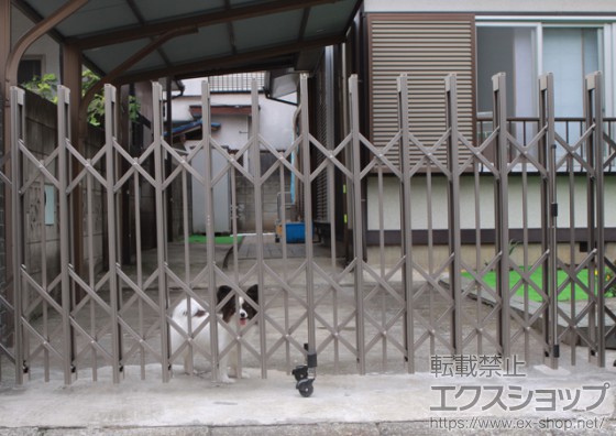 １０）ちゃんと囲いができたからお庭で自由に走っていいって言われた！