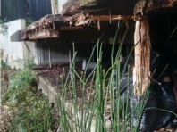 天然木のウッドデッキの地下では腐食が進むことがあります