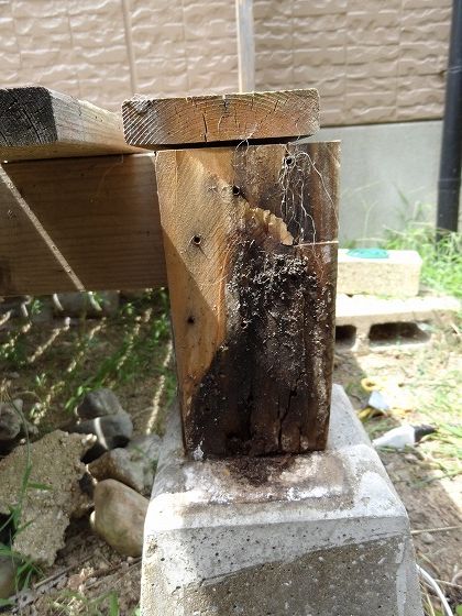 水分を含みカビ・虫害などで腐食が進みやすい