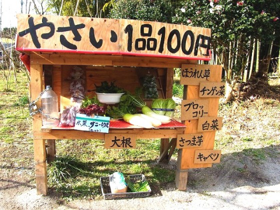 霧島市隼人町内「かわいい野菜の無人販売所」より