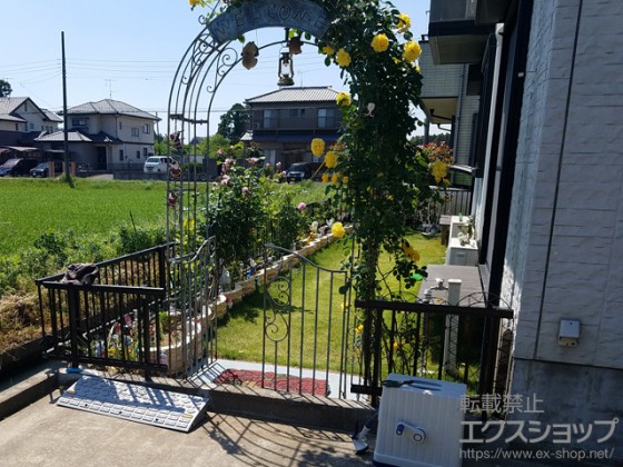 Value Select ~Gb^tFXɃp[Sgݍ킹