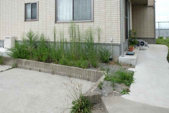 CɂȂG΍ɁAEbhfbL𗧂܂B