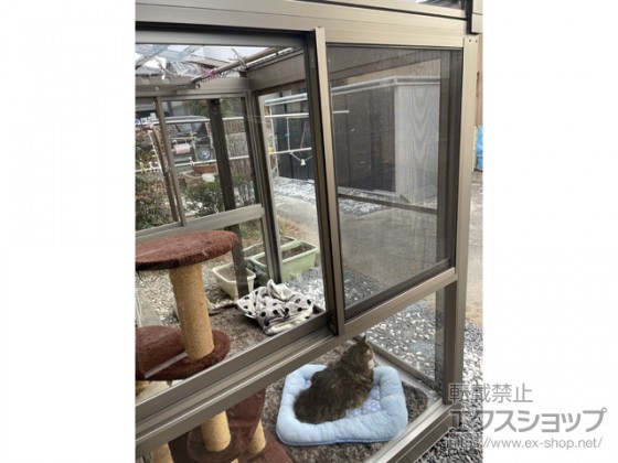 ふかふかベッドで気持ちよさそうな猫ちゃん