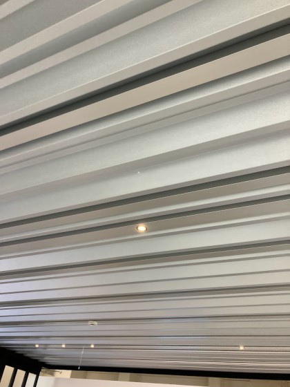 �r�[���X�̓V��i�X�^���_�[�h�^�C�v�j