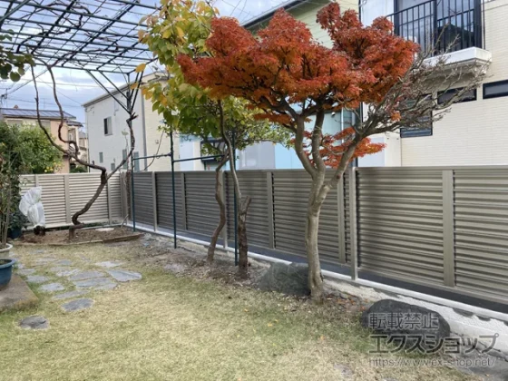 �t�F���X�@�������