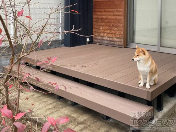 �E�b�h�f�b�L�@�������