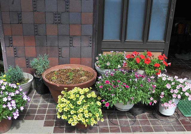 ガーデニングお洒落 20240111mi0374-0.jpg