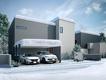 LIXIL(���N�V��)�̃J�[�|�[�g �J�[�|�[�gSC 3000 2��p �_�X�N�O���[�F