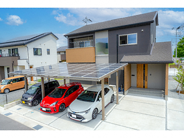 ���h�C���e�b�N�̃J�[�|�[�g ���z���J�[�|�[�g E-PORT V 3��p