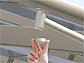 OA~̃J[|[g JtBlI 摜1