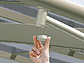 OA~̃J[|[g j[}CbV  tz O 4{dl摜3