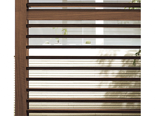 �t�F���X�E��E���E�G�N�X�e���A�̂��ƂȂ�G�N�X�V���b�v�摜1