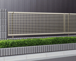 �G�N�X���C���t�F���X3�^ �䌅�i�q �v���`�i�X�e��