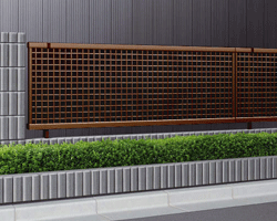 �G�N�X���C���t�F���X3�^ �䌅�i�q �u���E��