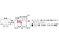 ̃|XgE和Ez{bNX Xs1B^Cv̐}