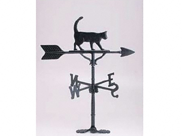 �L���i���V�b�v�̃K�[�f���t�@�j�`���[�E���O�Ƌ� �����{ ���^ CAT