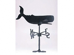 LiVbṽK[ft@j`[EOƋ{ ^ NW