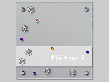 �G�N�X�^�C���̕\�D �N���X�^���K���X�V���[�Y EC-04