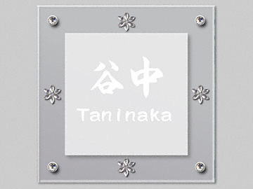 �G�N�X�^�C���̕\�D �N���X�^���K���X�V���[�Y EC-09