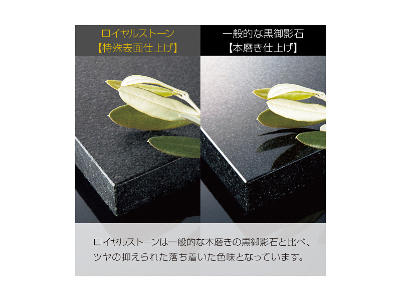 \DEl[v[gEGNXeÂƂȂGNXVbv摜1