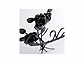 ZNtg̕\DEl[v[g NVJ_ IS-51 IS-51摜1