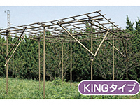 �t���[�c�p�[�S�� KING�T�C�Y W300�~D300�~H240cm
