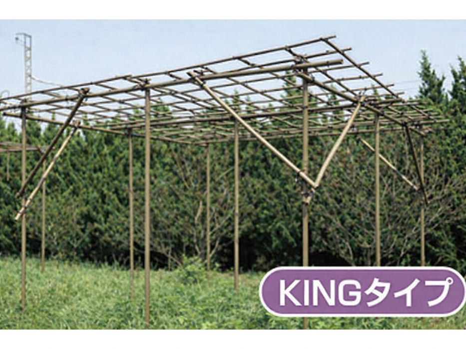 �p�[�S���E���I�E�G�N�X�e���A�̂��ƂȂ�G�N�X�V���b�v