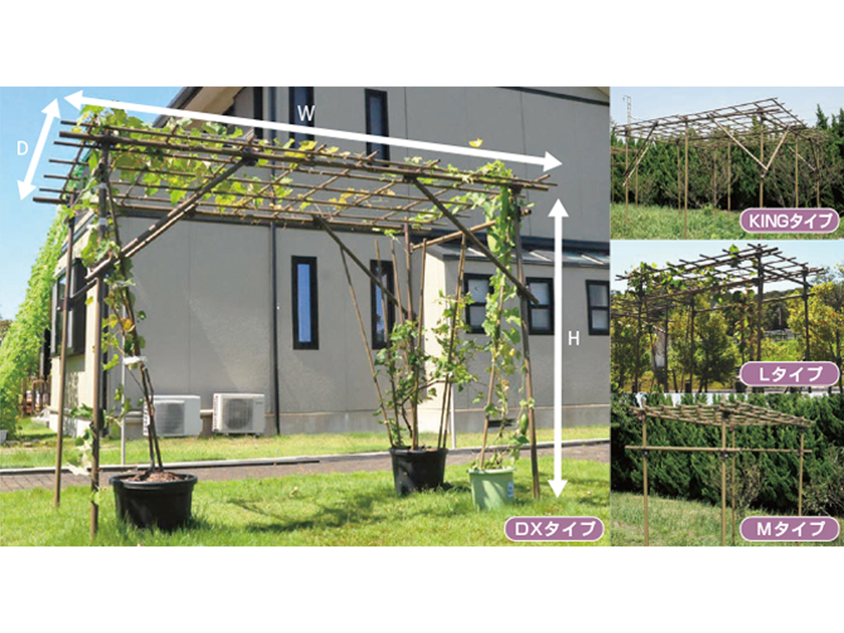 �p�[�S���E���I�E�G�N�X�e���A�̂��ƂȂ�G�N�X�V���b�v�摜1