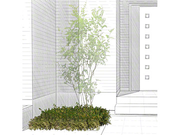 ���j�}�b�g���b�N�̐A�� �t��ɉԂ��炭�S�[���f���R���r