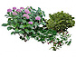 ユニマットリックの植栽 季節で変わる風景を楽しむセット画像1