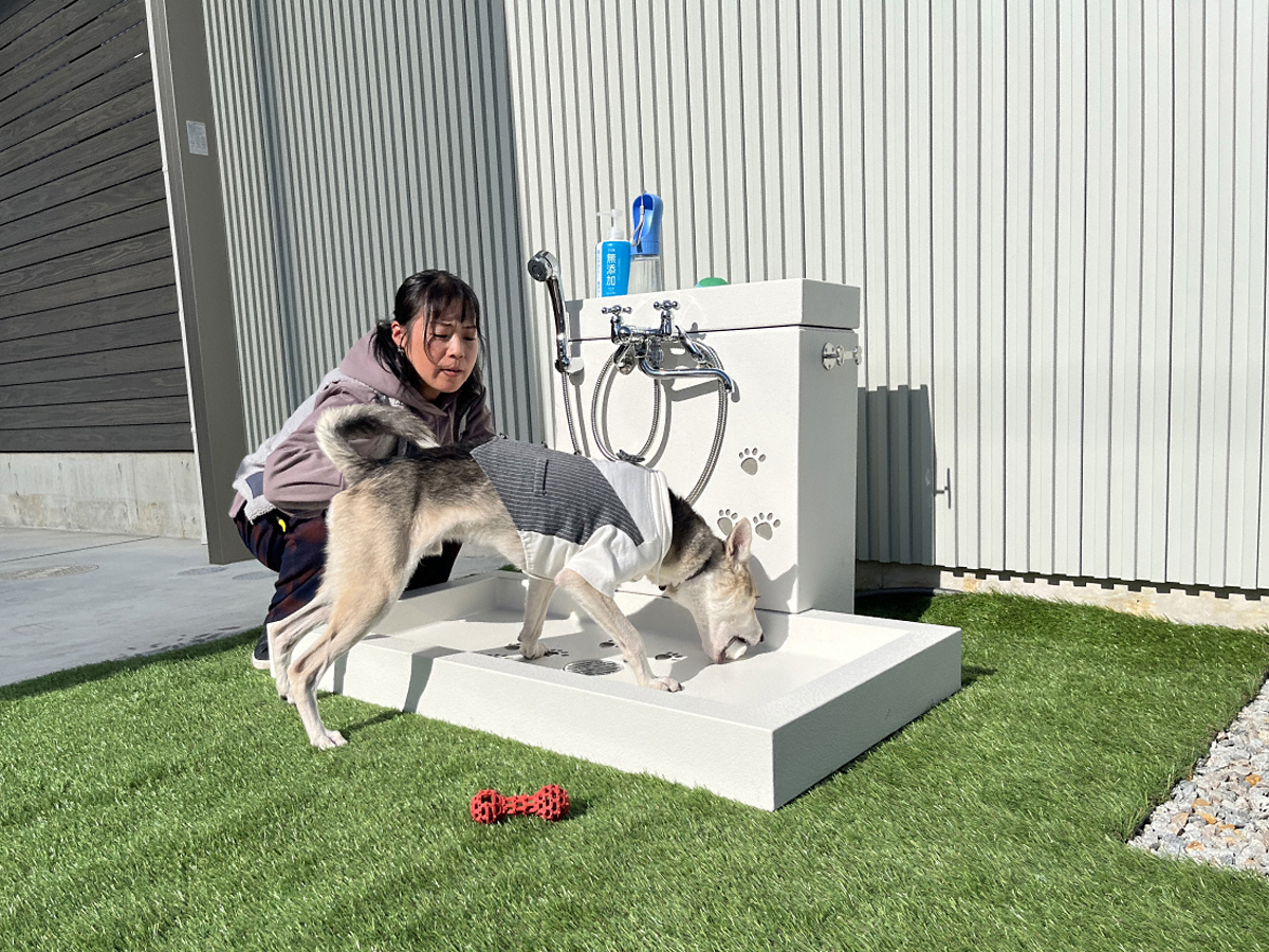 EK[fVNE𒌁EGNXeÂƂȂGNXVbv摜2