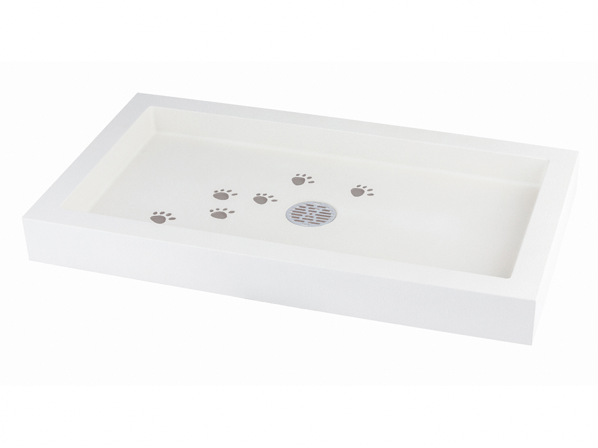 EK[fVNE𒌁EGNXeÂƂȂGNXVbv摜6