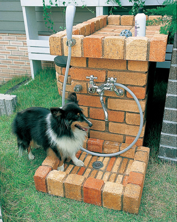 EK[fVNE𒌁EGNXeÂƂȂGNXVbv摜2