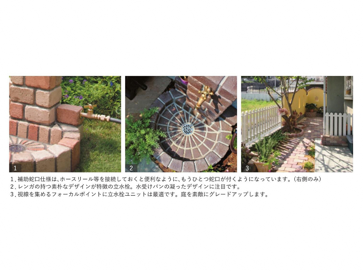 EK[fVNE𒌁EGNXeÂƂȂGNXVbv摜2