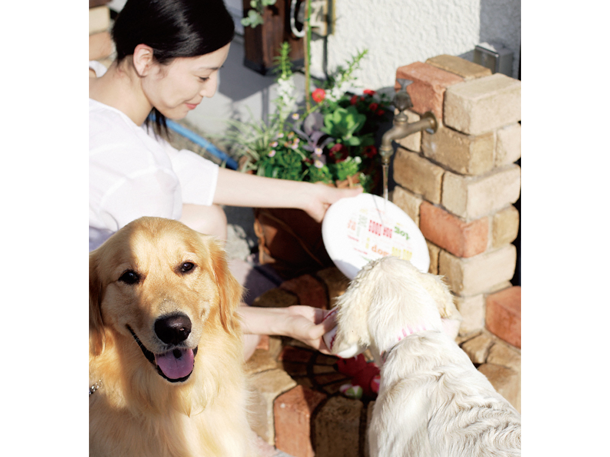 EK[fVNE𒌁EGNXeÂƂȂGNXVbv摜3